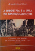 A INDÃšSTIA E A LUTA EM DESENVOLVIMENTO.