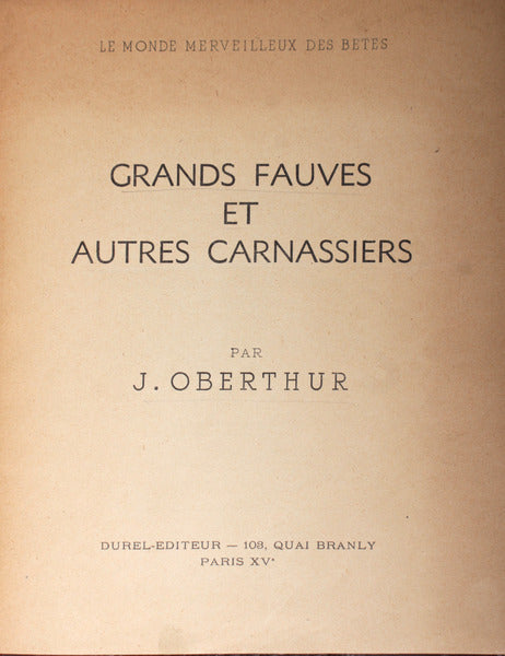 GRANDS FAUVES ET AUTRES CARNASSIERS.