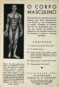 CORPO (O) MASCULINO.
