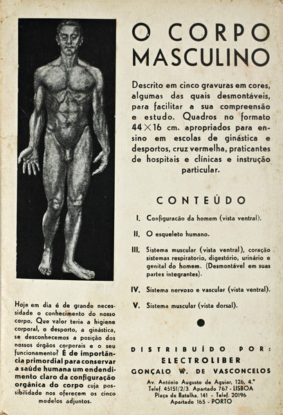 CORPO (O) MASCULINO.