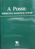 A POSSE. PERSPECTIVAS DOGMÃTICAS ACTUAIS.