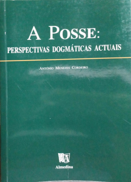 A POSSE. PERSPECTIVAS DOGMÃTICAS ACTUAIS.