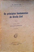 OS PRINCÃPIOS FUNDAMENTAIS DO DIREITO CIVIL.