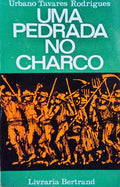 UMA PEDRADA NO CHARCO