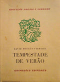 TEMPESTADE DE VERÃƒO.