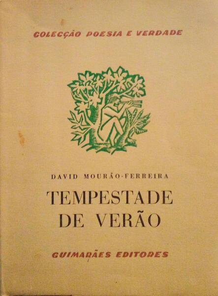 TEMPESTADE DE VERÃƒO.