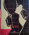 PICOAS: ARQUITECTURA E ORGANIZAÃ‡ÃƒO PLÃSTICA.