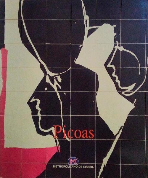 PICOAS: ARQUITECTURA E ORGANIZAÃ‡ÃƒO PLÃSTICA.