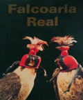 FALCOARIA REAL.