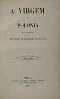 A VIRGEM DA POLONIA.