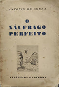 O NÃUFRAGO PERFEITO.