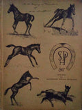 REVISTA DA SOCIEDADE HÃPICA PAULISTA