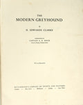 THE MODERN GREYHOUND.