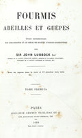 FOURMIS, ABEILLES ET GUÃŠPES.