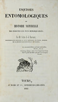 ESQUISSES ENTOMOLOGIQUES.