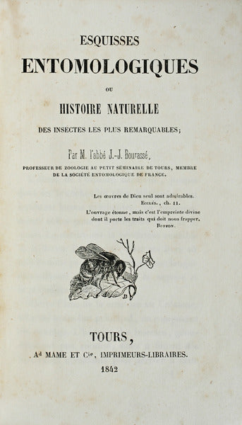 ESQUISSES ENTOMOLOGIQUES.