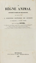 LE RÃˆGNE ANIMAL.