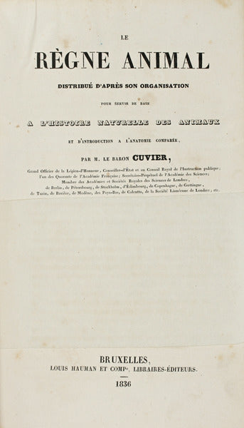 LE RÃˆGNE ANIMAL.