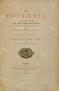 LES FOUGÃˆRES, CHOIX DES ESPÃˆCES LES PLUS REMARQUABLES.