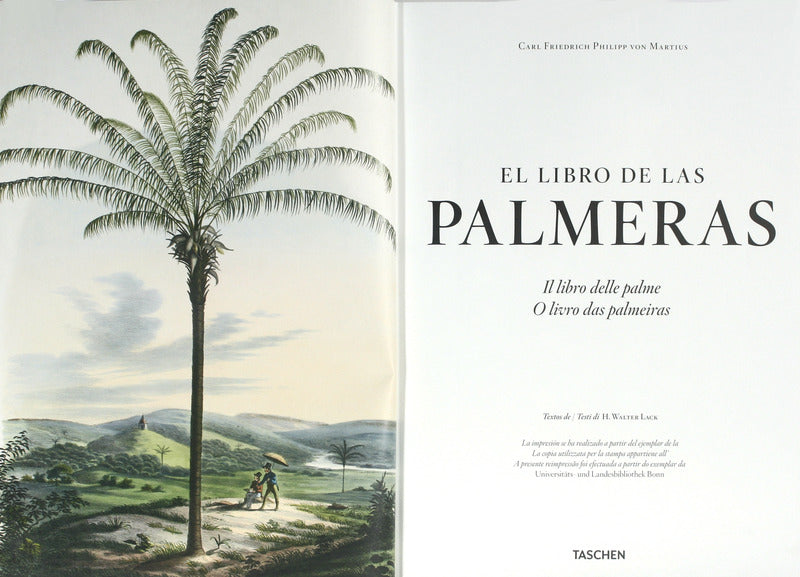 EL LIBRO DE LAS PALMERAS - IL LIBRO DELLE PALME - O LIVRO DAS PALMEIRAS.