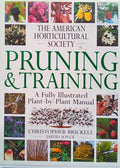 PRUNING & TRAINING.