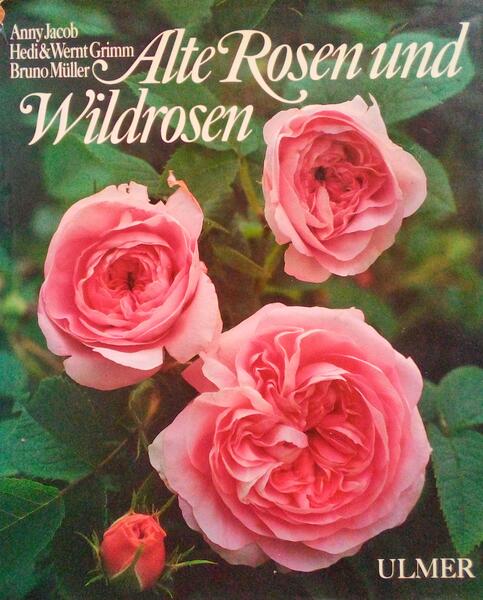 ALTE ROSEN UND WILDROSEN.