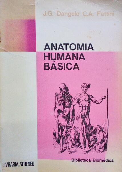 ANATOMIA HUMANA BÃSICA.