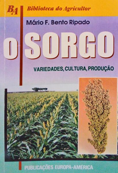 O SORGO.