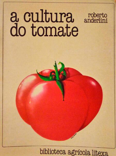 A CULTURA DO TOMATE.