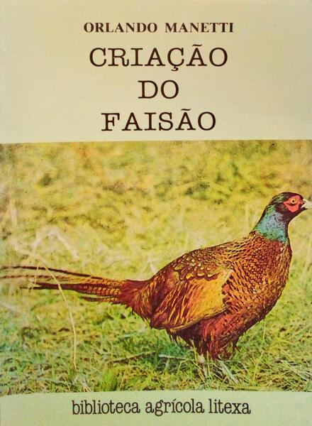 CRIAÃ‡ÃƒO DO FAISÃƒO.