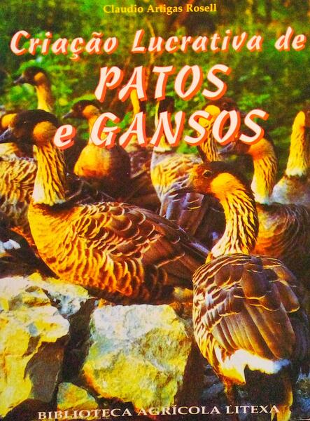 CRIAÃ‡ÃƒO LUCRATIVA DE PATOS E GANSOS.