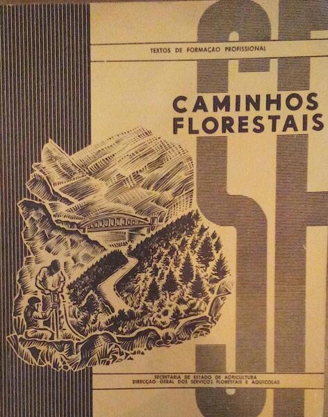 CAMINHOS FLORESTAIS.