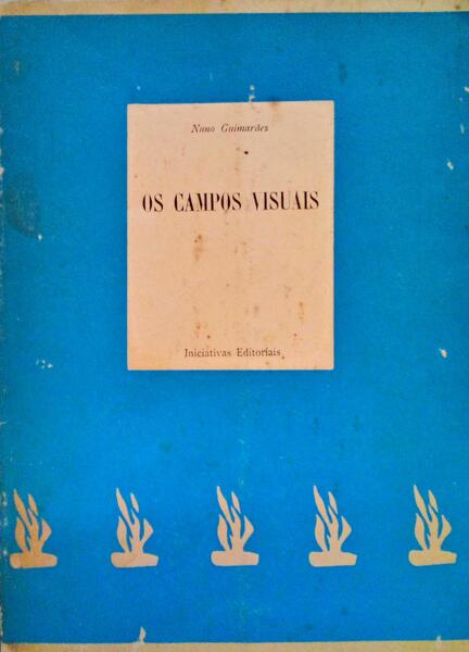 OS CAMPOS VISUAIS.