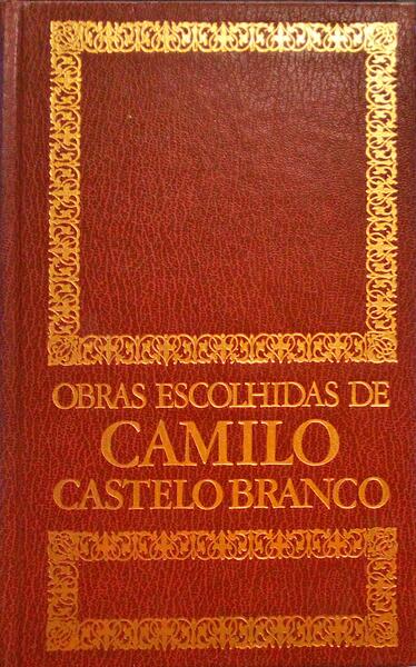 VULCÃ•ES DE LAMA.