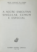 A ACÃ‡ÃƒO EXECUTIVA SINGULAR, COMUM E ESPECIAL.