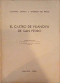 EL CASTRO DE VILA NOVA DE SAN PEDRO.