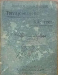 TERRAPLENAGENS E ALICERCES.
