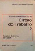 NOÃ‡Ã•ES FUNDAMENTAIS DE DIREITO DO TRABALHO. [2.Âº VOLUME]