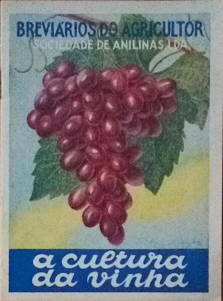 CULTURA (A) DA VINHA.