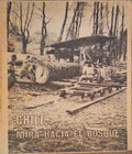 CHILE MIRA HACIA EL BOSQUE.