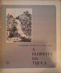 A FLORESTA DA TIJUCA.