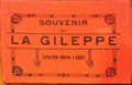 SOUVENIR DE LA GILEPPE. [10 POSTAIS]