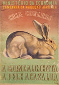 A CRIAÃ‡ÃƒO DO COELHO.
