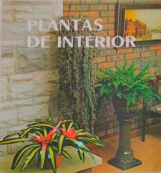 PLANTAS DE INTERIOR.