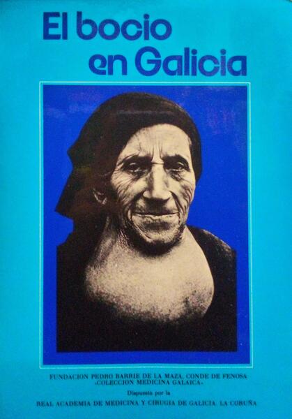 EL BOCIO EN GALICIA.