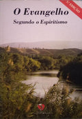 O EVANGELHO, SEGUNDO O ESPIRITISMO.