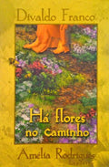 HÃ FLORES NO CAMINHO.