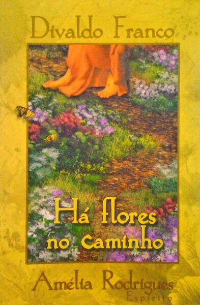 HÃ FLORES NO CAMINHO.
