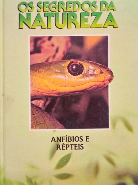 ANFÃBIOS E RÃ‰PTEIS.