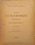 DESCRIPTION DE LA FAUNE JURASSIQUE DU PORTUGAL, BRACHIOPODES.